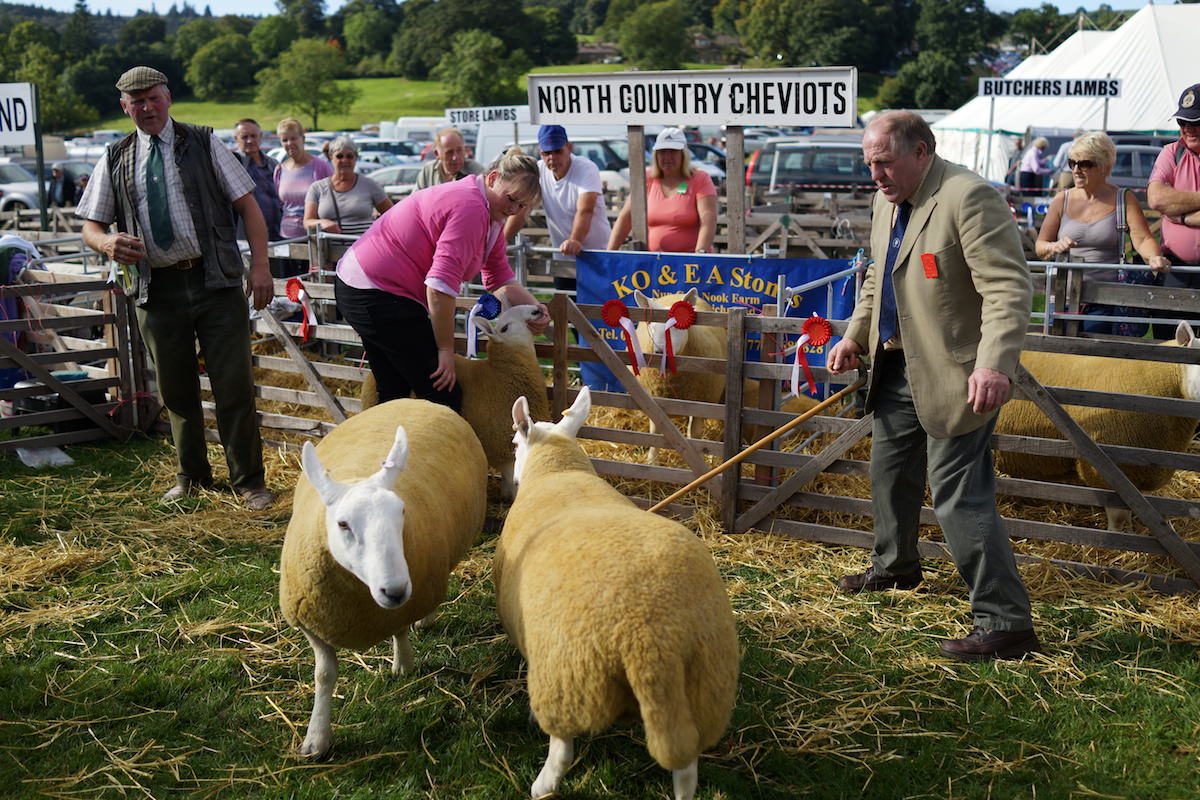 Nidderdale Show