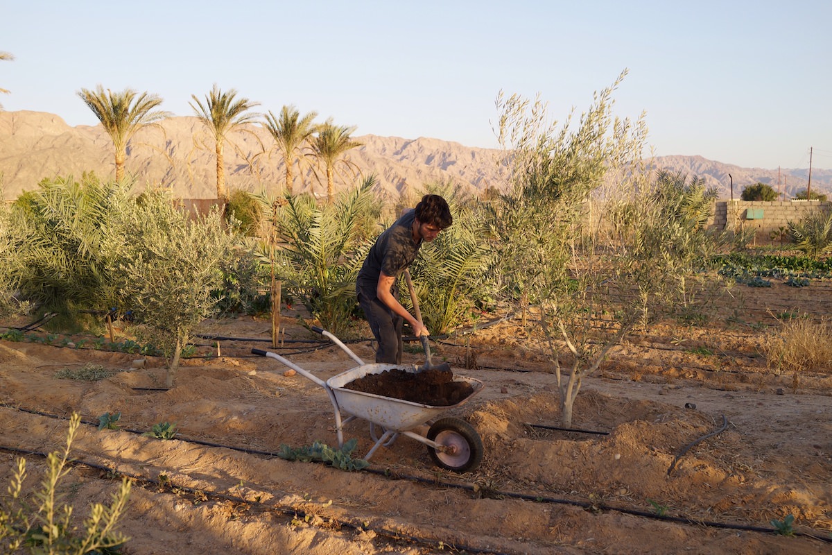 WWOOFING IN EGYPT