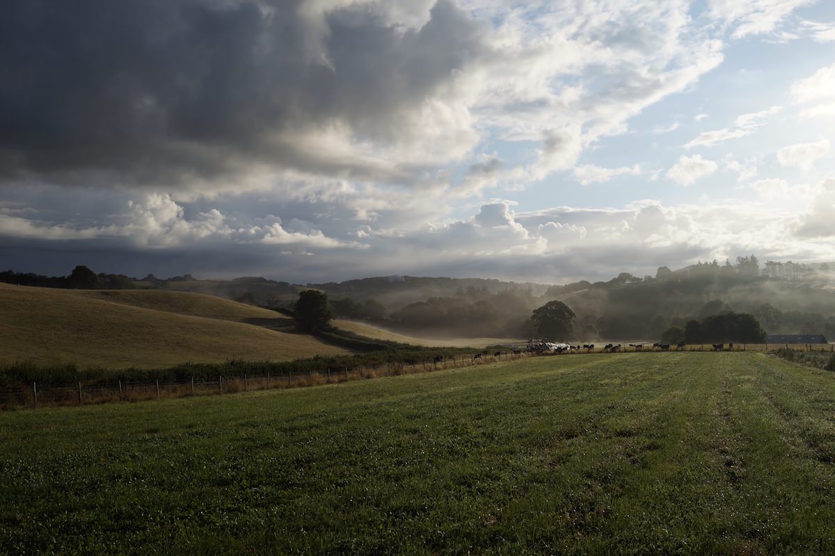 Brexit and Agriculture