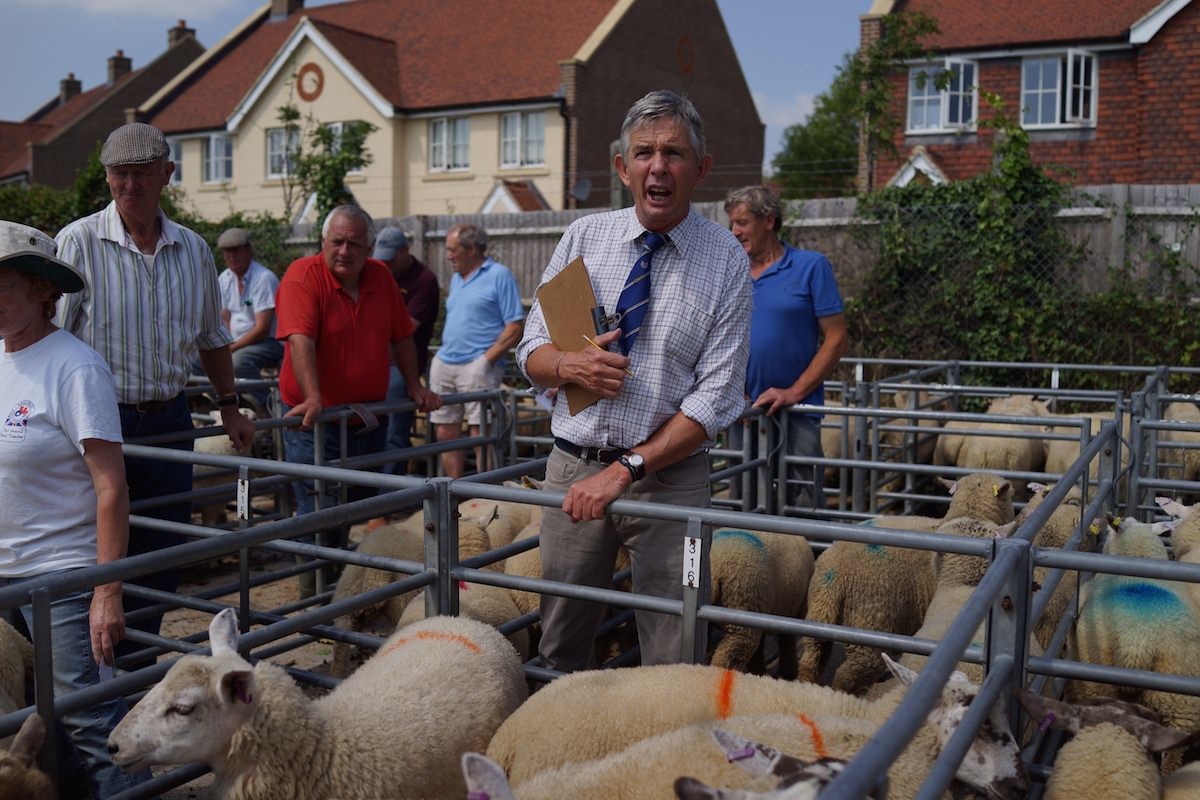 Hailsham Livestock Market