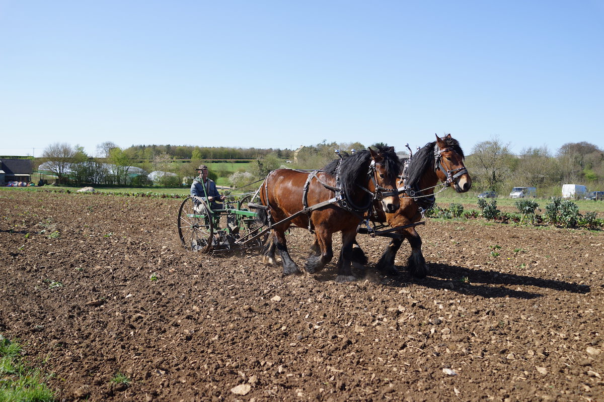 farm hack