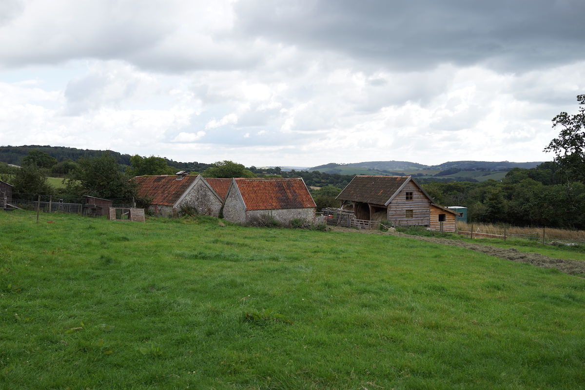 An Organic Farm in Dorset