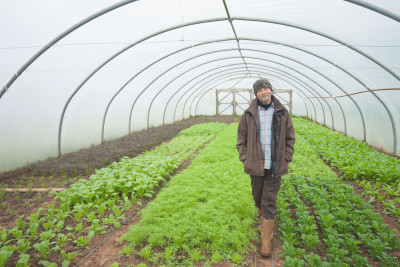 The Community Farm