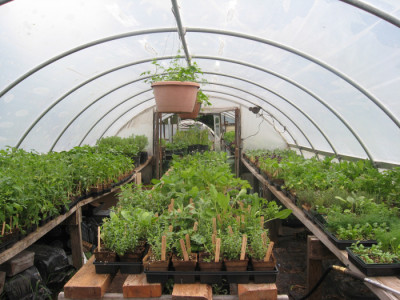 Propogation Greenhouse