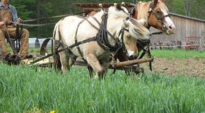 Farming with Horses