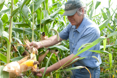 Organic Farmer Klaas Martens. Photo: Jen Munkvold