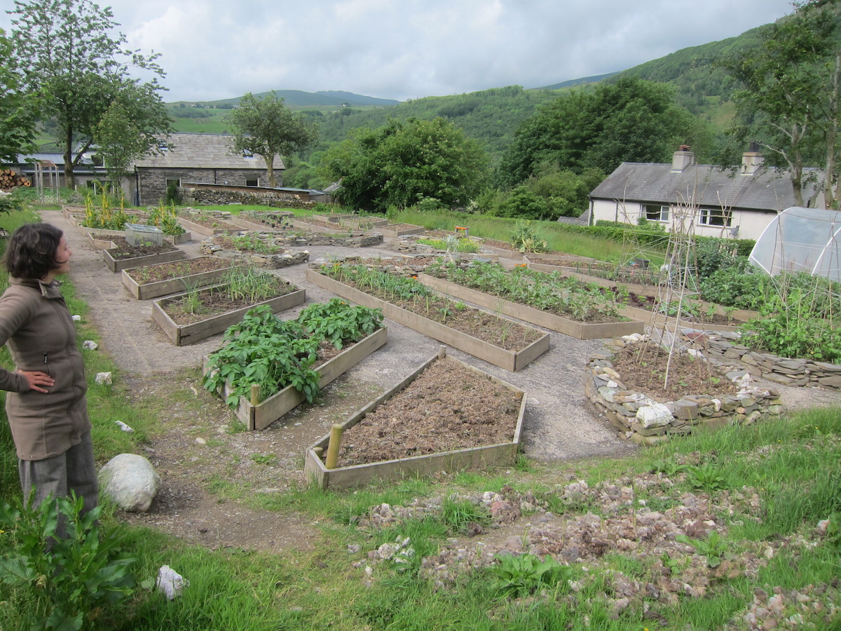 Laya-Point Permaculture