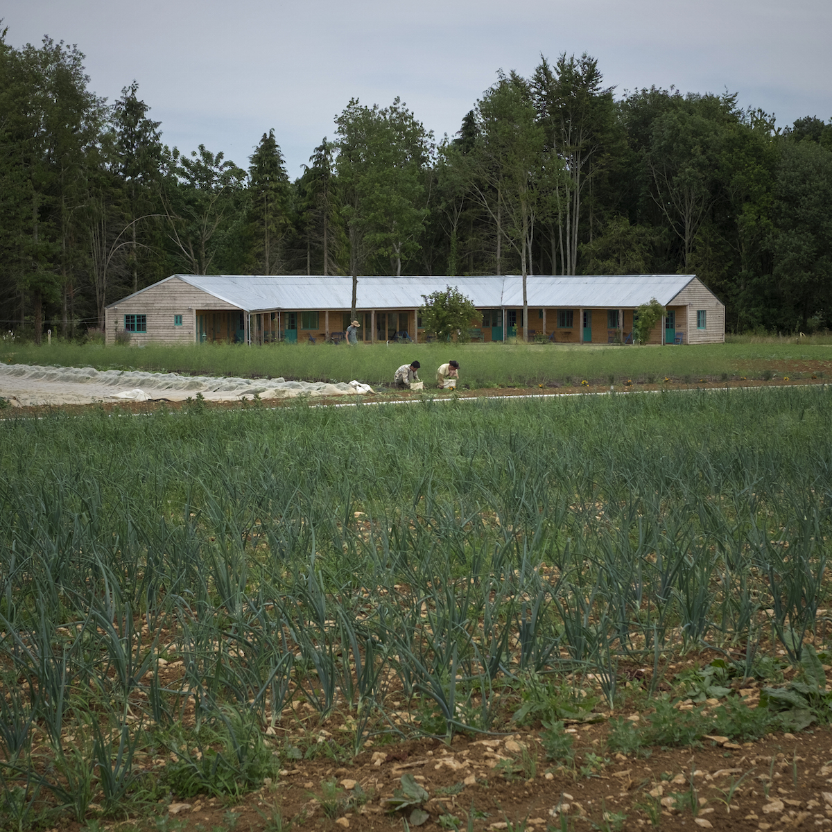 esidential Education Area Abbey Home Farm