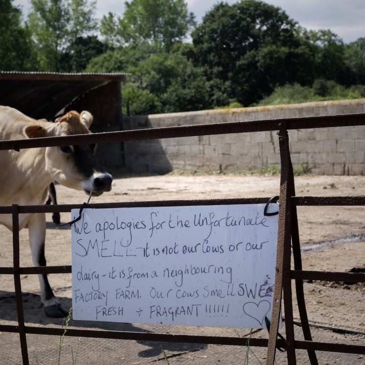 Welcome sign at Calf At Foot Dairy