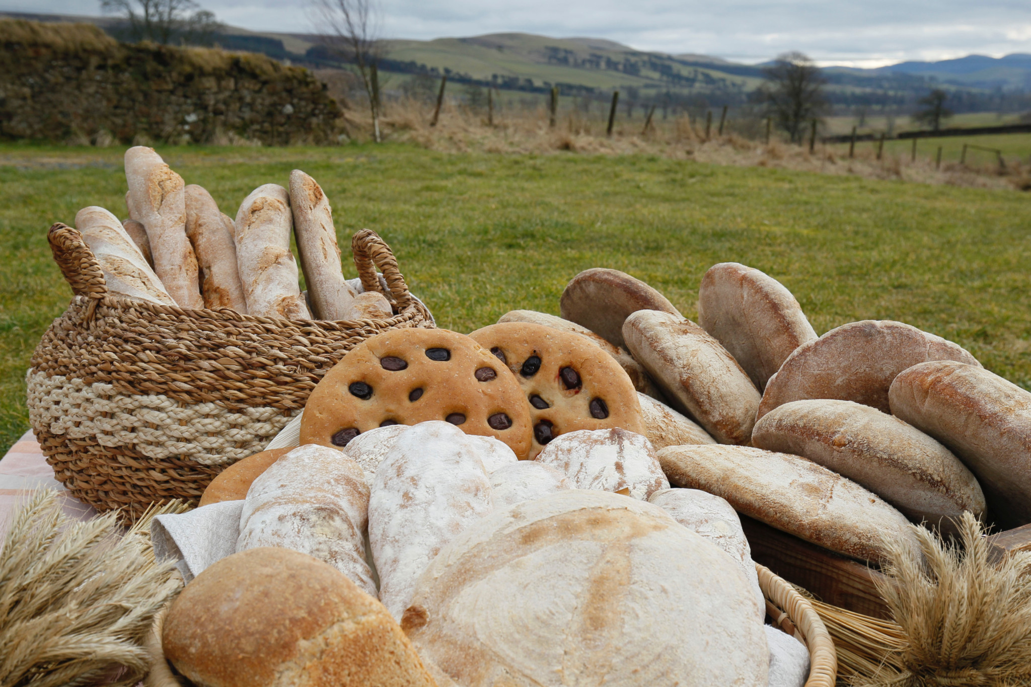 'Scotland The Bread' launches a Community Share Offer