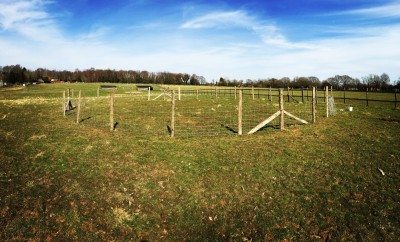 Bess' Training Ring practically complete!