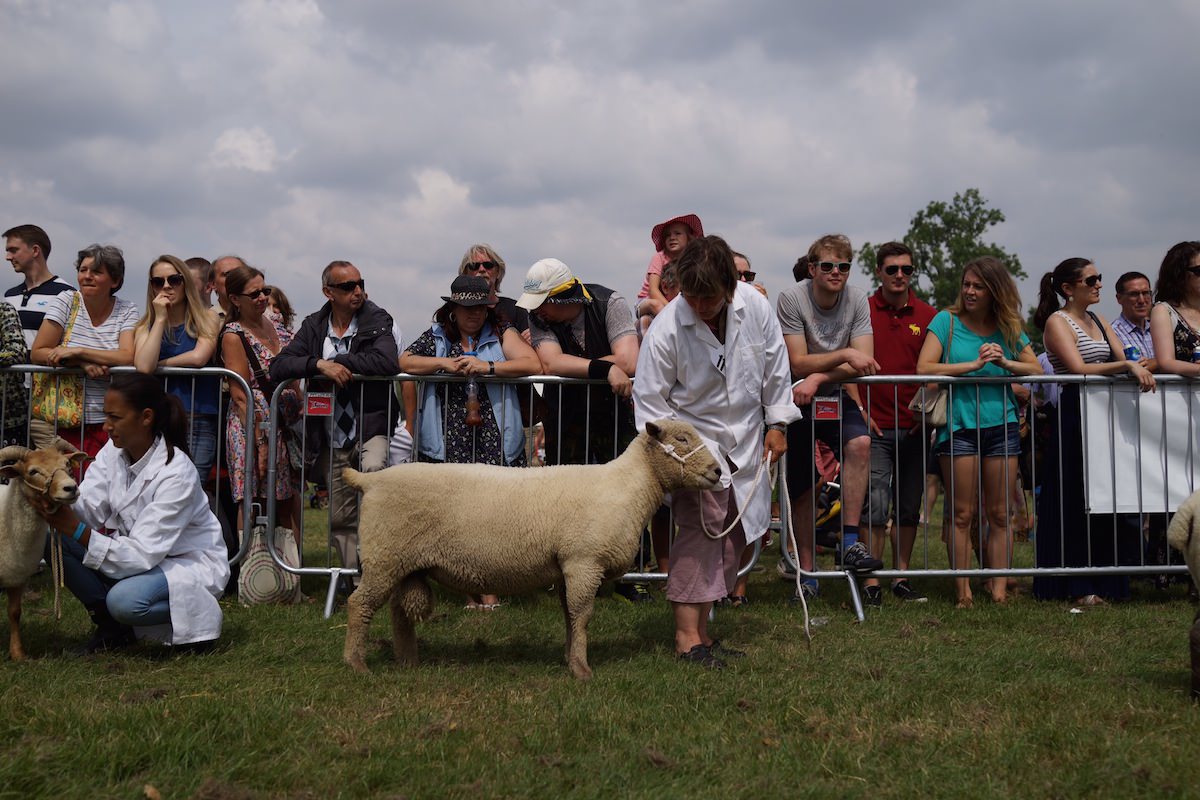 lambethcountryshow