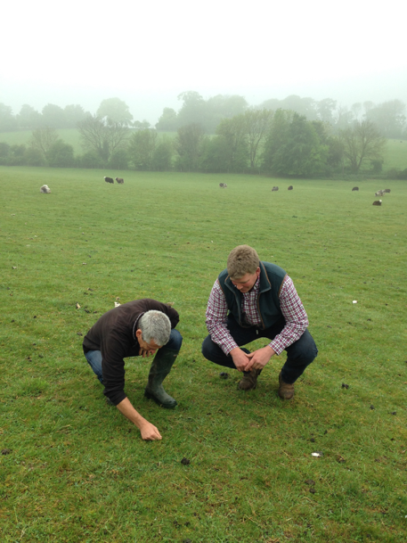 Dave and Mike examining the grassland