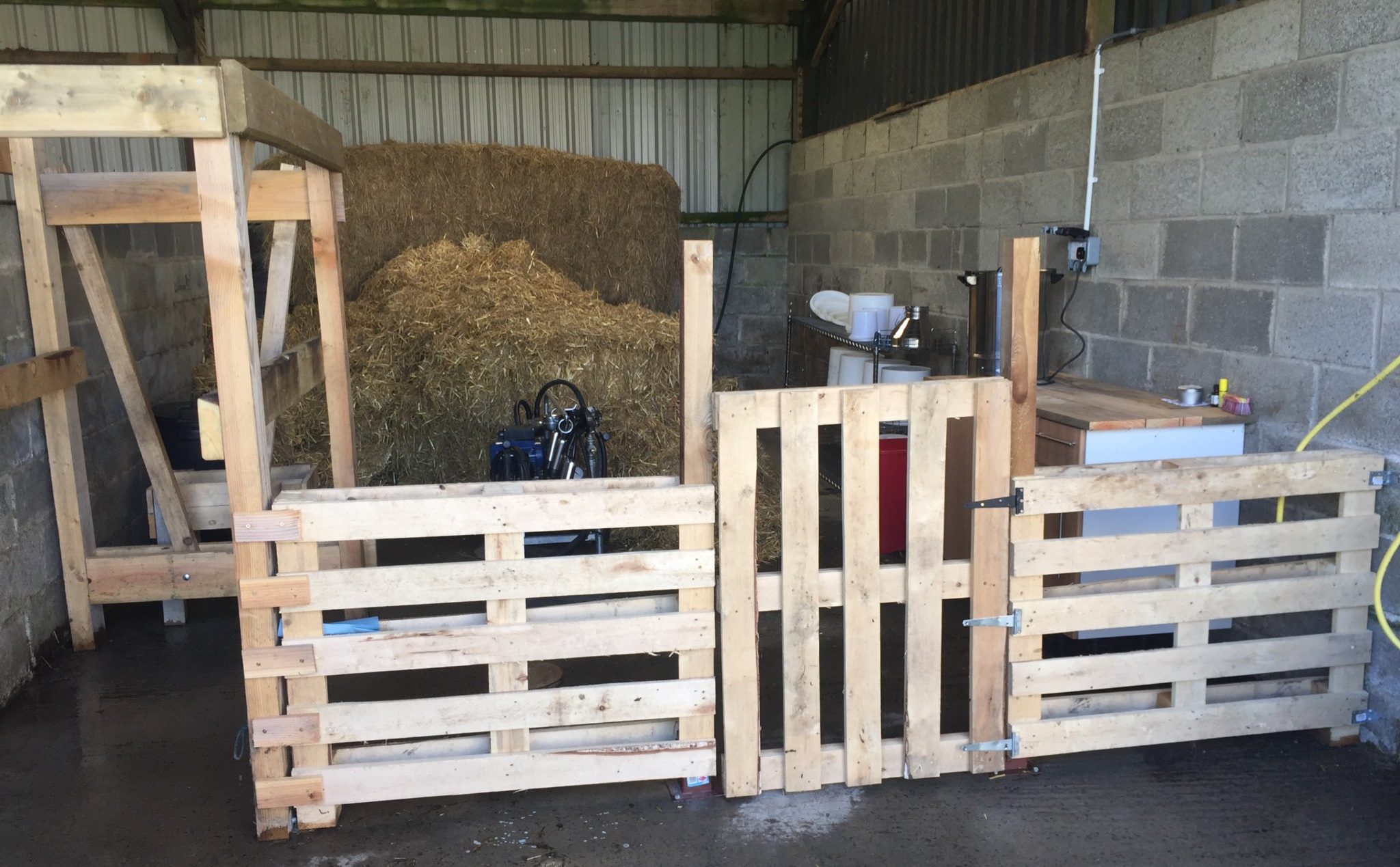 Our high-tech dairy parlour...