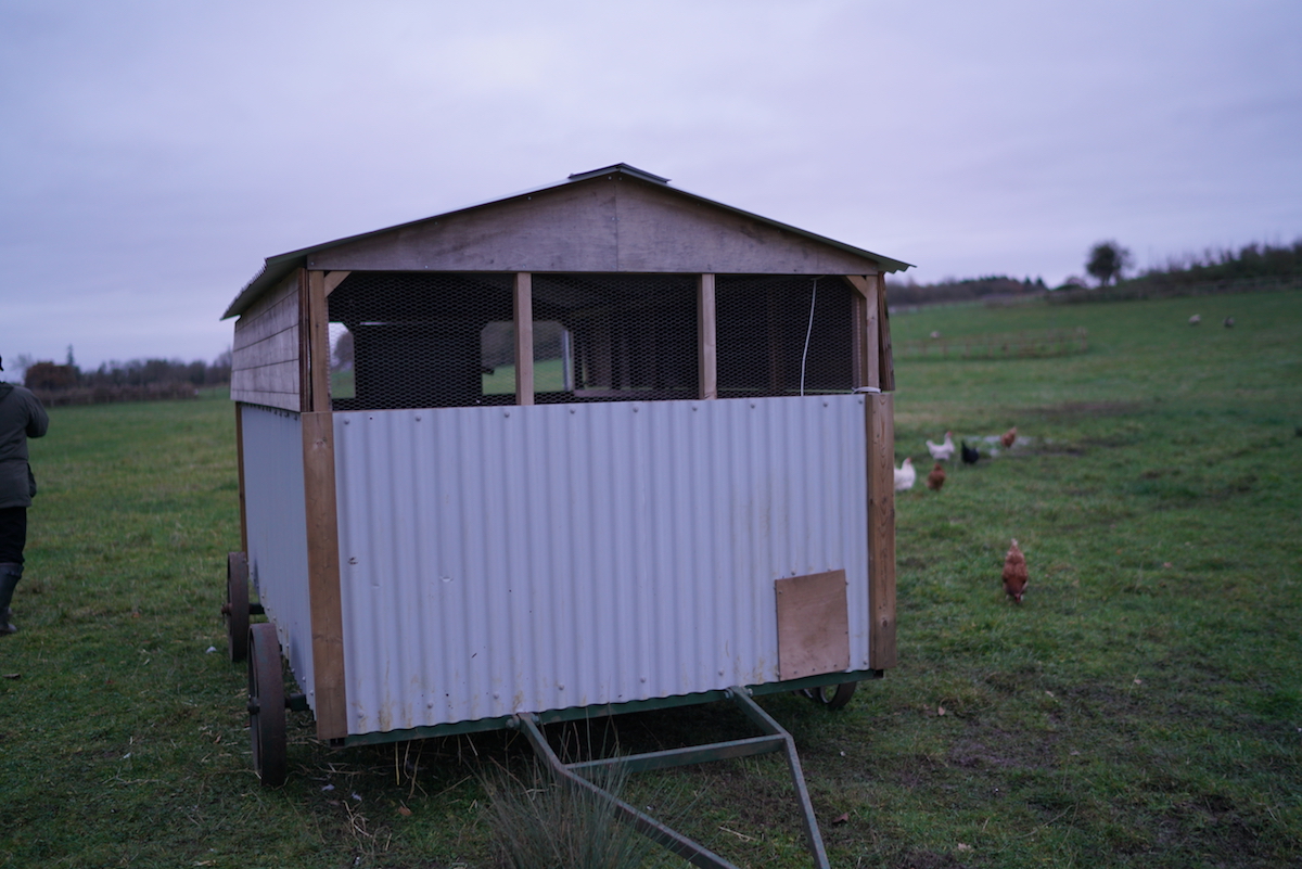 chicken tractor egg mobile 