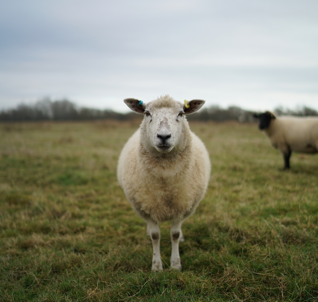 brexit and farming