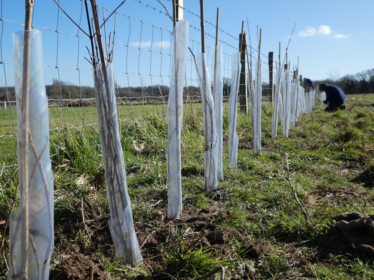 Future Farmers East Sussex