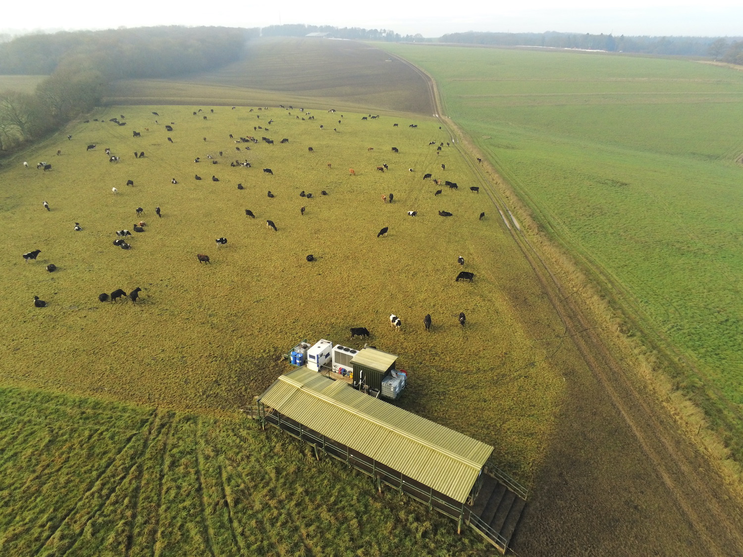 Mobile Milking Parlour