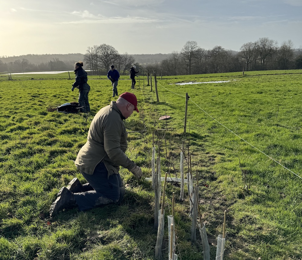 Hedge Planting Team